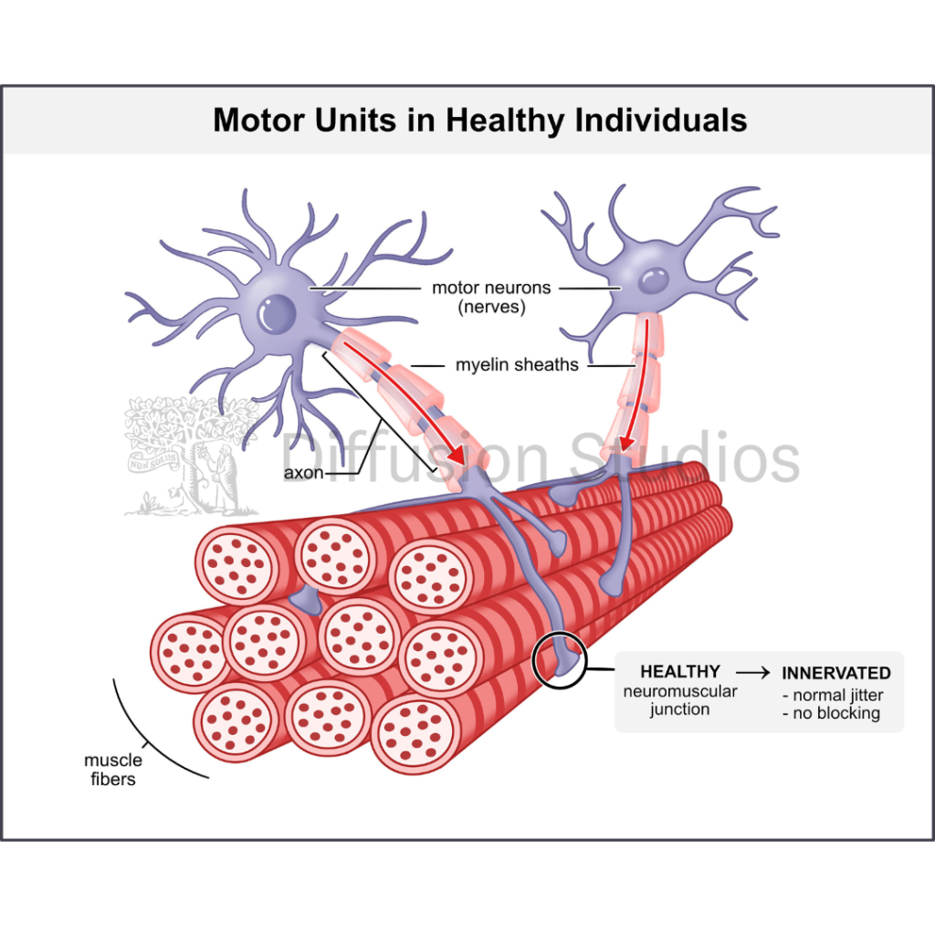 NMD Pharma Partners with Diffusion Studios