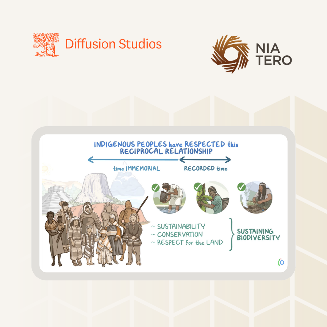 Nia Tero Partners with Diffusion Studios