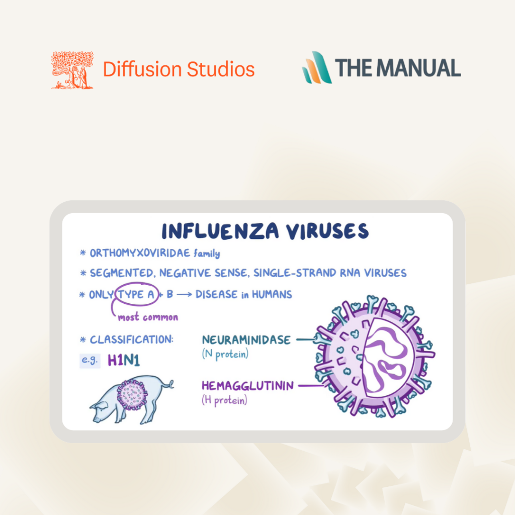 The Manuals partners with Diffusion Studios