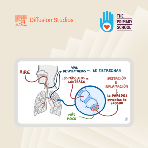 The Primary School Partner Case Study
