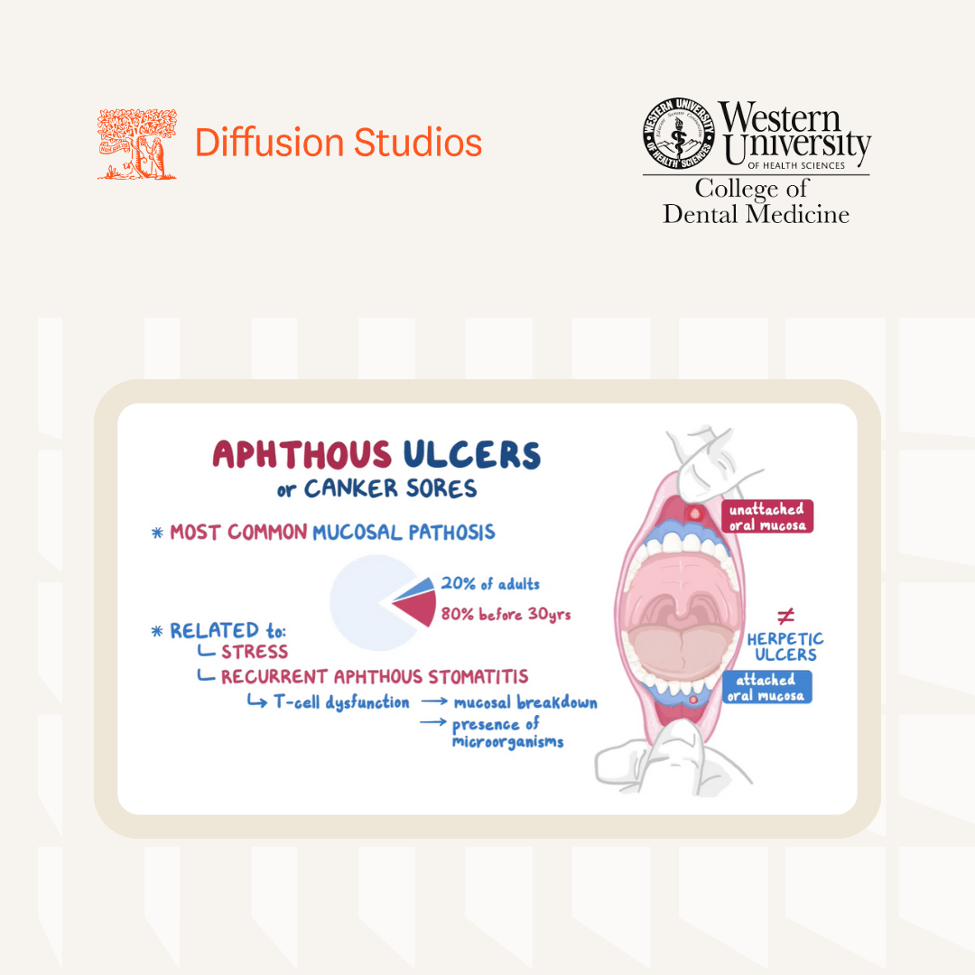 Western University partners with Diffusion Studios